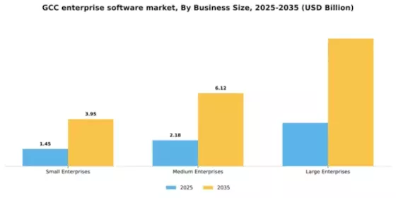 GCC Enterprise Software Market Segment Image 1