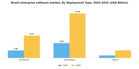 Brazil Enterprise Software Market Segment Image 2