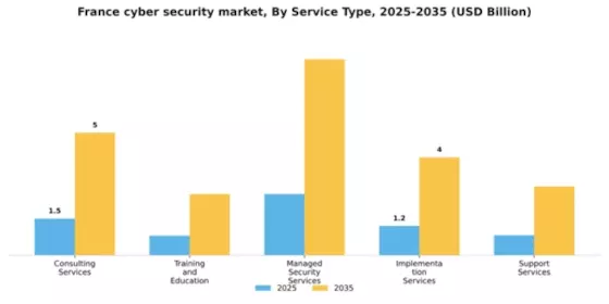 France Cyber Security Market Segment Image 3