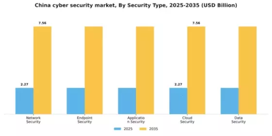 China Cyber Security Market Segment Image 2
