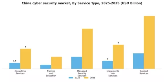 China Cyber Security Market Segment Image 3