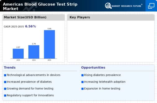 Americas Blood Glucose Test Strip Market Research Report – Forecast to 2032 Infographic