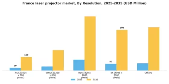 France Laser Projector Market Segment Image 1