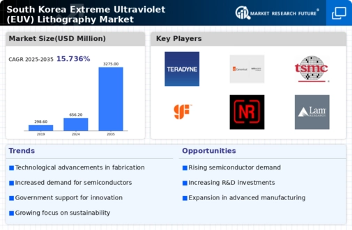 South Korea Extreme Ultraviolet Lithography Market Infographic