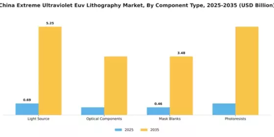 China Extreme Ultraviolet Lithography Market Segment Image 1
