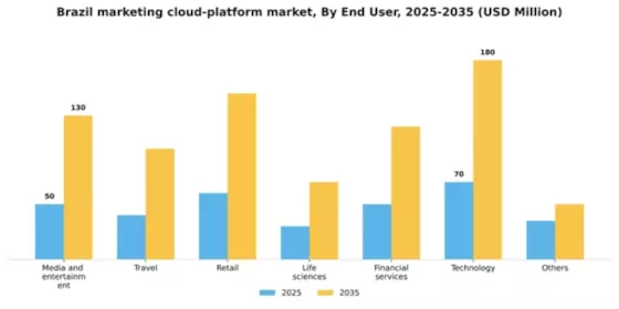 Brazil Marketing Cloud Platform Market Segment Image 0