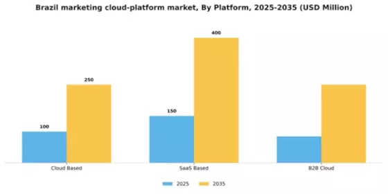 Brazil Marketing Cloud Platform Market Segment Image 1