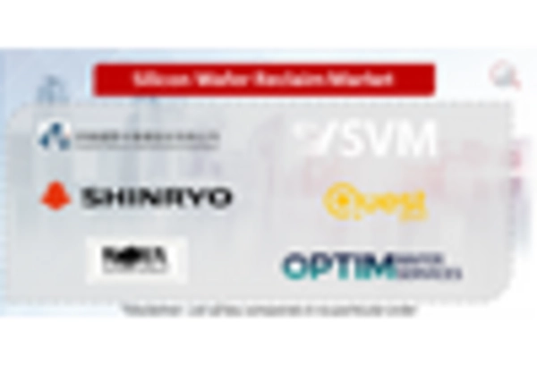 Mexico Silicon Wafer Reclaim Market key player