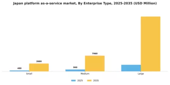 Japan Platform As A Service Market Segment Image 2