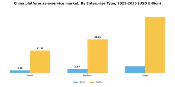 China Platform As A Service Market Segment Image 2