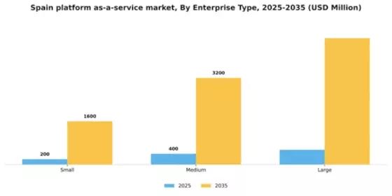 Spain Platform As A Service Market Segment Image 2