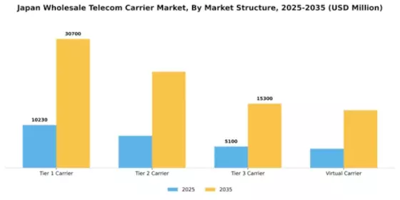 Japan Wholesale Telecom Carrier Market Segment Image 1