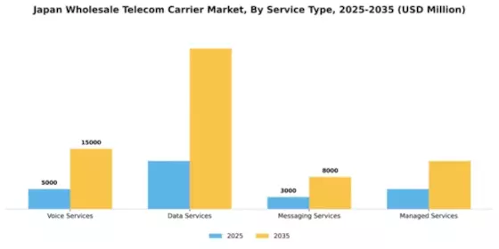 Japan Wholesale Telecom Carrier Market Segment Image 2