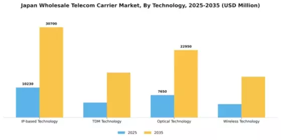 Japan Wholesale Telecom Carrier Market Segment Image 3