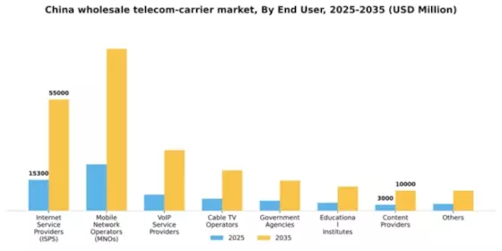 China Wholesale Telecom Carrier Market Segment Image 0
