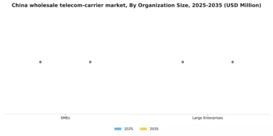 China Wholesale Telecom Carrier Market Segment Image 1