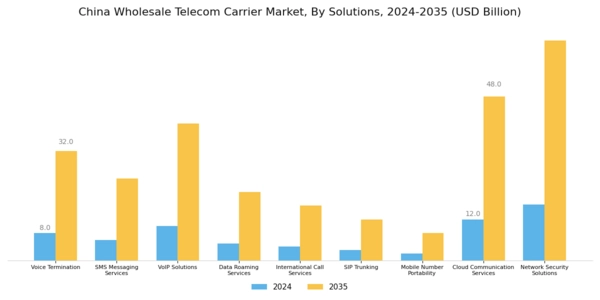 China Wholesale Telecom Carrier Market Segment Image 0