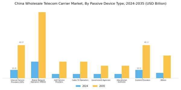 China Wholesale Telecom Carrier Market Segment Image 2