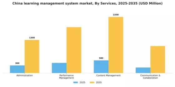 China Learning Management System Market Segment Image 3