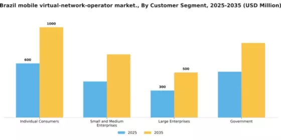 Brazil Mobile Virtual Network Operator Market Segment Image 1
