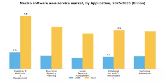 Mexico Software As A Service Market Segment Image 0