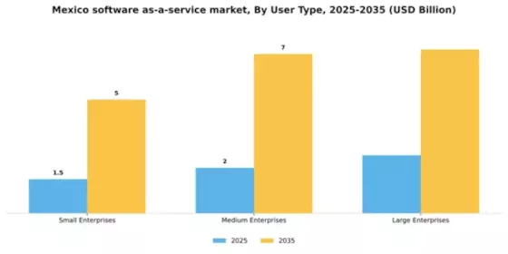 Mexico Software As A Service Market Segment Image 2