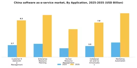China Software As A Service Market Segment Image 0