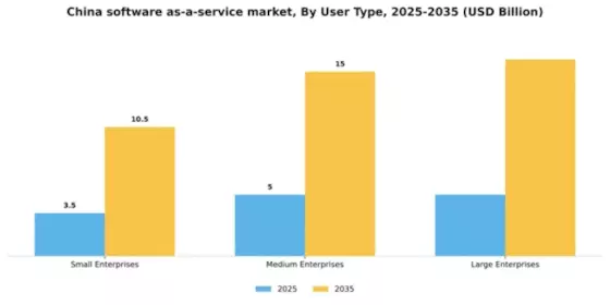 China Software As A Service Market Segment Image 2