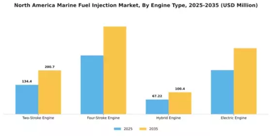 North America Marine Fuel Injection Market Segment Image 1
