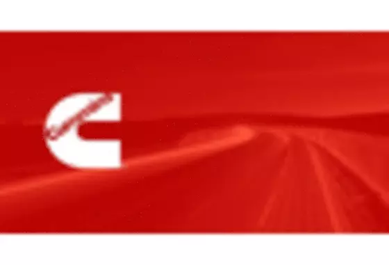 North America Marine Fuel Injection Market key player