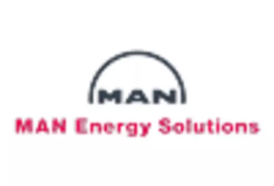 North America Marine Fuel Injection Market key player