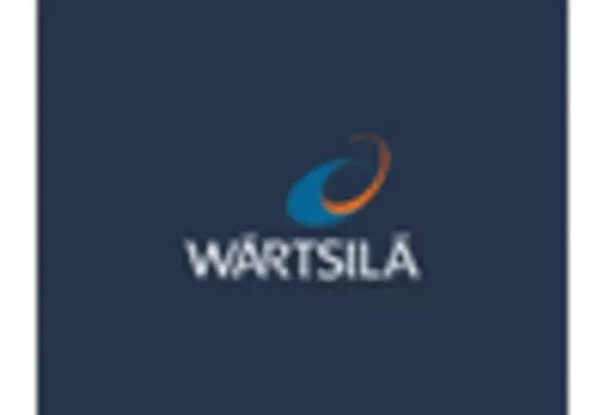 Europe Marine Fuel Injection Market key player