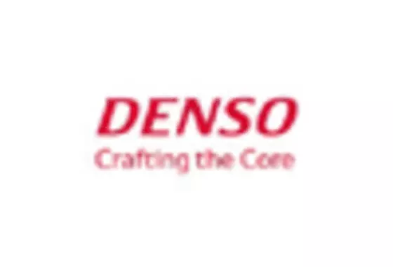 India Marine Fuel Injection Market key player