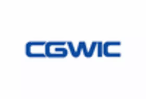 China Low Cost Satellite Market key player