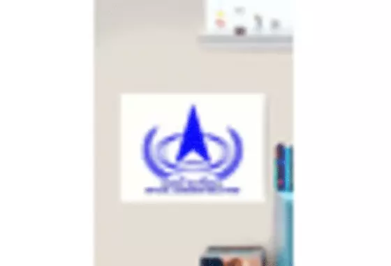 China Low Cost Satellite Market key player