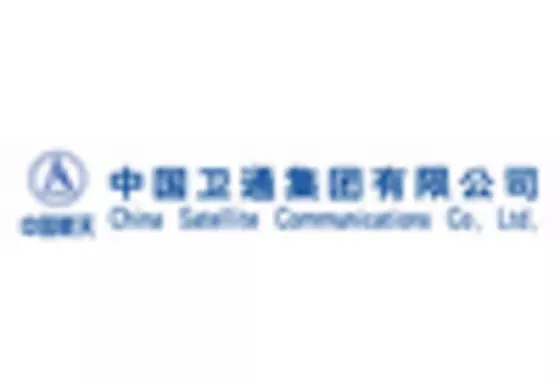 China Low Cost Satellite Market key player
