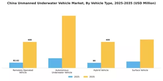 China Unmanned Underwater Vehicle Market Segment Image 3