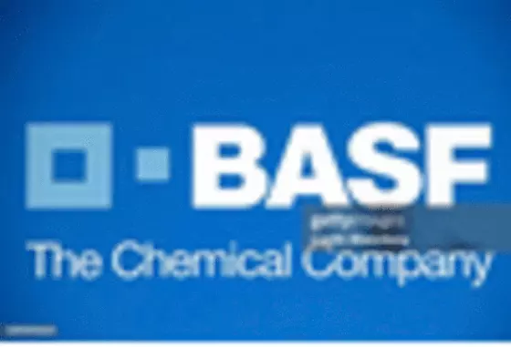 Germany Fermentation Ingredients Market key player