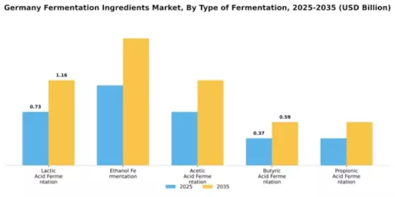 Germany Fermentation Ingredients Market Segment Image 3