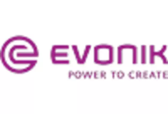 Germany Fermentation Ingredients Market key player