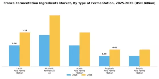 France Fermentation Ingredients Market Segment Image 3