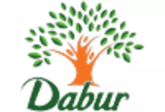 India Juice Concentrate Market key player