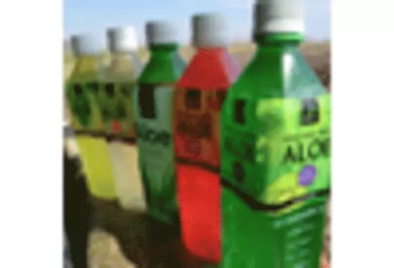 India Meat Substitutes Market key player