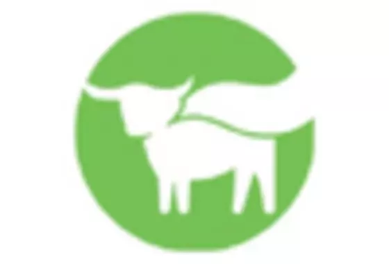 China Meat Substitutes Market key player