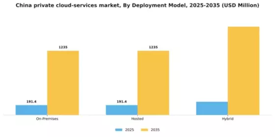 China Private Cloud Services Market Segment Image 0