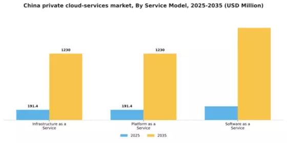 China Private Cloud Services Market Segment Image 2