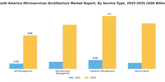 South America Microservices Architecture Market Segment Image 3