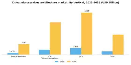 China Microservices Architecture Market Segment Image 2