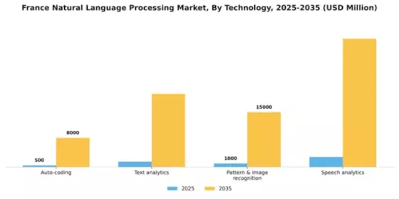 France Natural Language Processing Market Segment Image 2