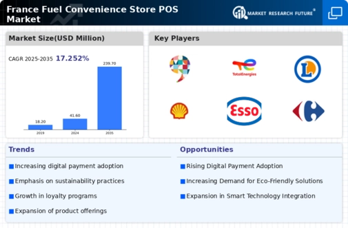 France Fuel Convenience Store POS Market Infographic